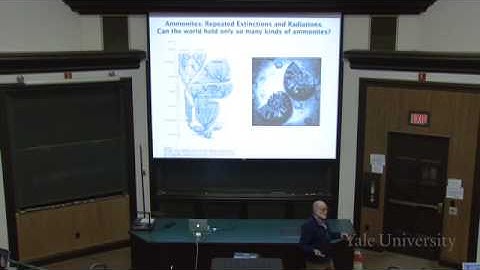 19. The Fossil Record and Life