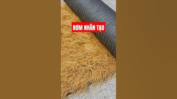 Thảm rơm nhân tạo lợp mái tạo không gian mộc mạc dân dã #shorts #romnhantao