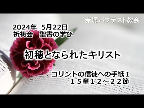 初穂となられたキリスト　コリントの信徒への手紙Ⅰ 15章12～22節 2024/ 5/22 WED.　赤塚教会祈祷会 聖書の学び