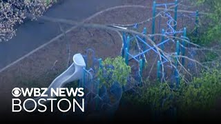 Two children, adult injured by falling tree limb in Melrose