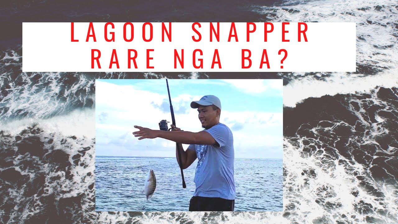 Cayman Islands! It's Friday! LAGOON SNAPPER RARE NGA BA? - YouTube