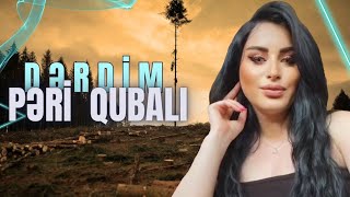 Peri Qubali - Derdim - 2023 Official Music