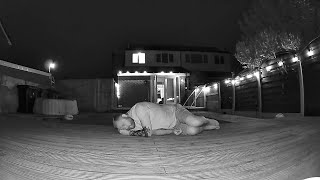 Poltergeist Goes CRAZY… They EXPLODED!
