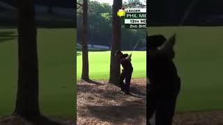 Famous Phil Mickelson’s iconic pine straw shot at The Masters. #philmickelson #themasters Wealth