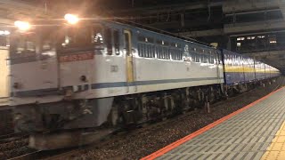 EF65-2117 新A72 4073レ 西濃コンテナ貨物 大宮駅 通過