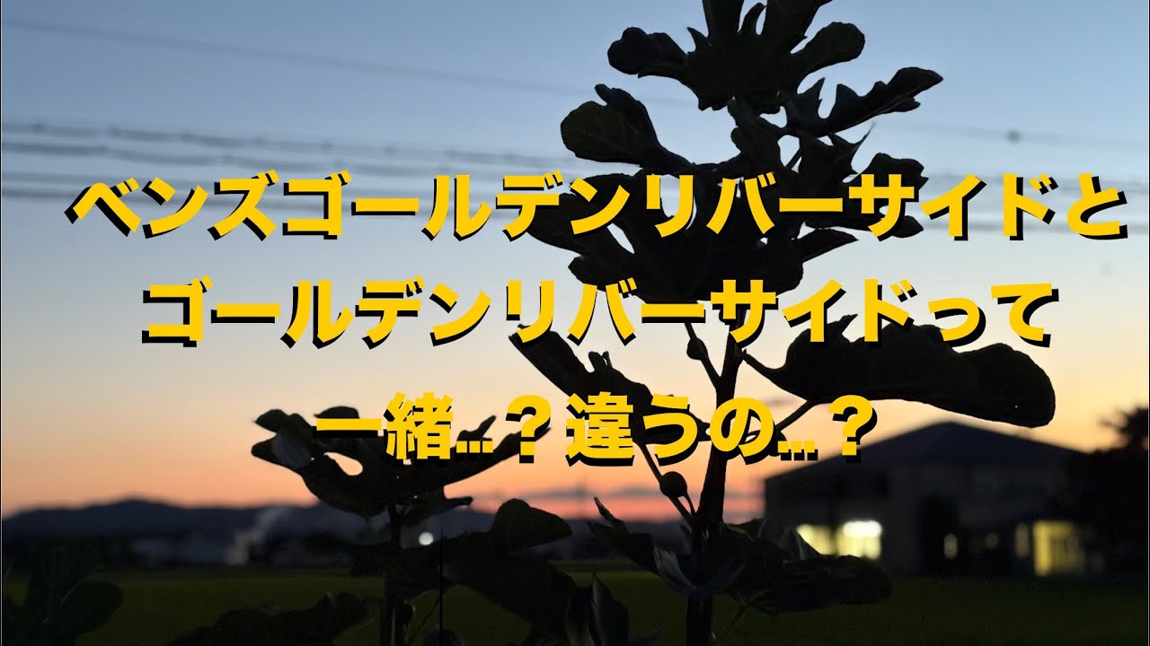 156ベンズゴールデンリバーサイドとゴールデンリバーサイドは違う