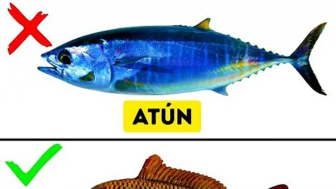 ¿Cuáles son los cuatro pescados que nunca debes comer?