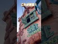 元ディズニーキャストが教える裏話‼️トゥーンタウンの金庫の謎を暴け‼️