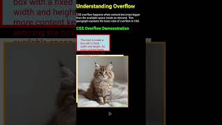 Why Content Comes Outside The Box in CSS | Overflow Explained