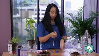 2-Liter Desktop Hydroponics