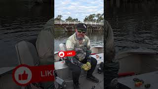 Fatboy’s FAB 5 Lures That WORK at Nagambie 🎣🔥