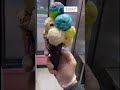 Mega Scoop Cone