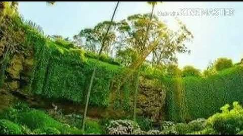 #تلاوة هادئة ونادرة جداً2018