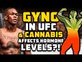 Gyno In The UFC & How Cannabis Actually Affects Hormone Levels