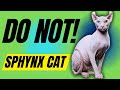 7 reasons you should not get a sphynx cat