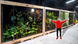 First Look at Reptile Enclosures at The Zoo!