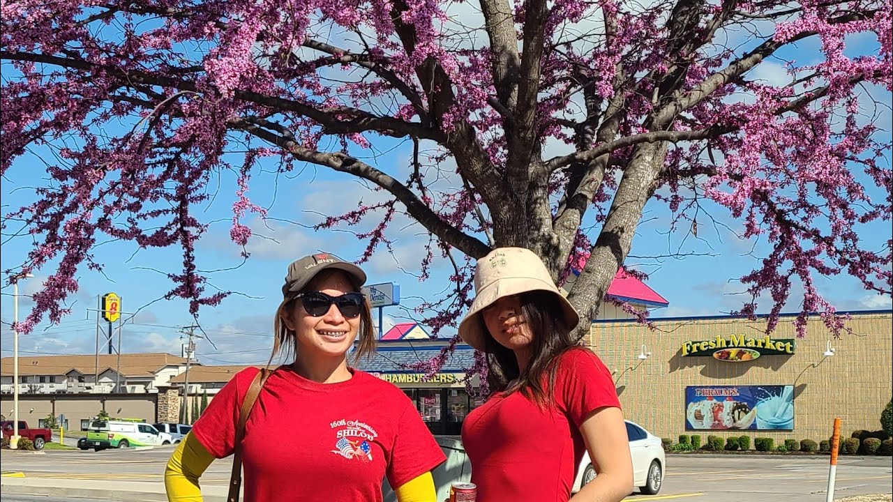 Who is Van Buren, Arkansas named after? Road Trips TennesseeArizona