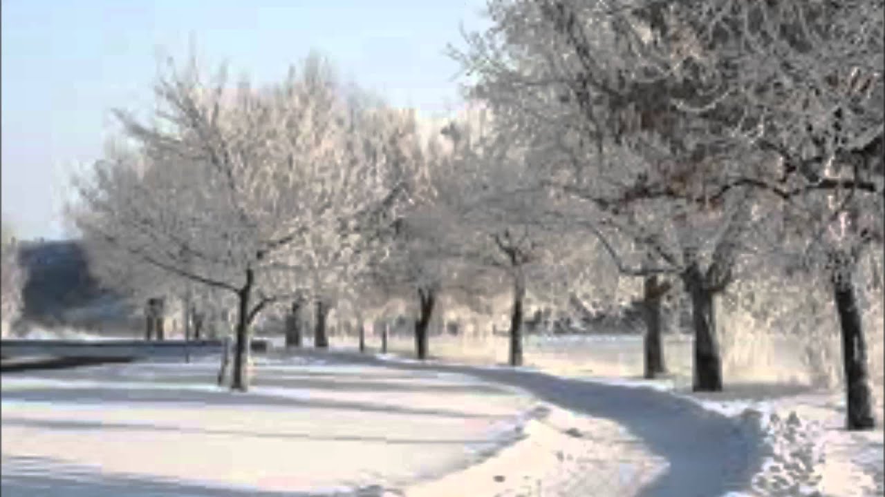 Canada, Winnipeg Mission YouTube