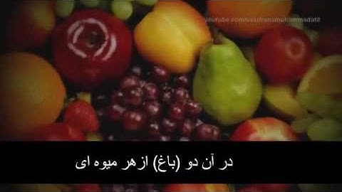 سوره الرحمن با صدای قاری مشاری با ترجمه دری