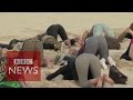 Climate protesters bury heads in sand