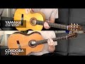 SOUND TEST: Yamaha CG182SF vs. Cordoba F7 Paco - Which Flamenco Guitar Sounds Better?!