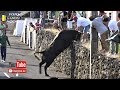 Tourada à Corda Boa Hora Terra Chã 8 Julho 2019-HF-RB