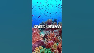 Check ngay 5 ngành mới nổi trong khối STEM 2026 👇 #usa #studyabroad #stemeducation #xuhuongyoutube