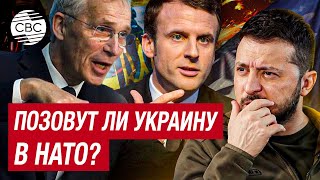 В НАТО не спешат принимать Украину - опасаются обострения отношений с Россией