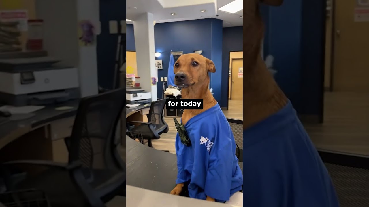 It S His First Day