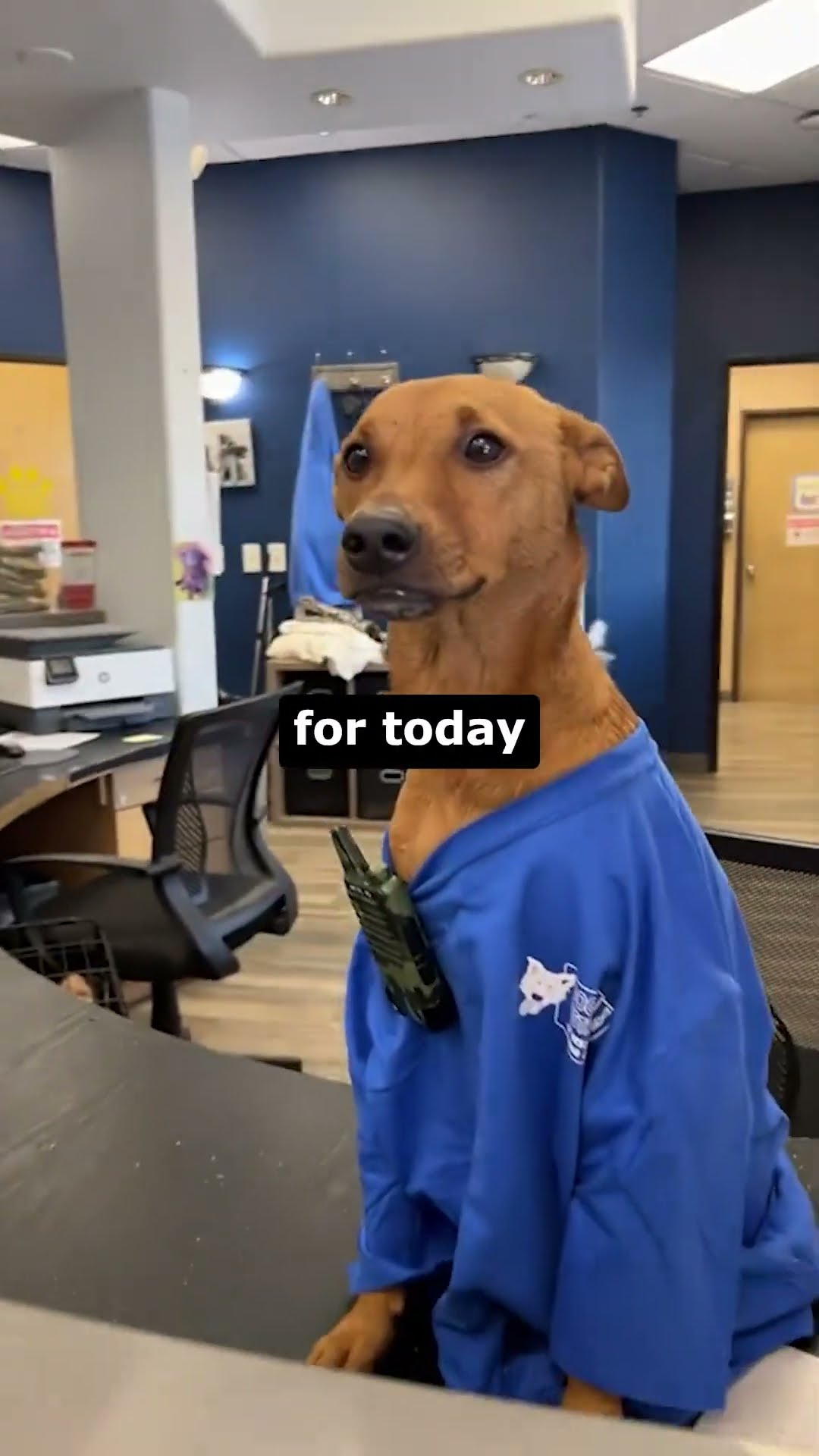 It's His First Day