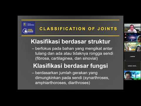 Arthrologi, Stabilitas Sendi dan Kinesiologi || Kuliah dr. Zainuri