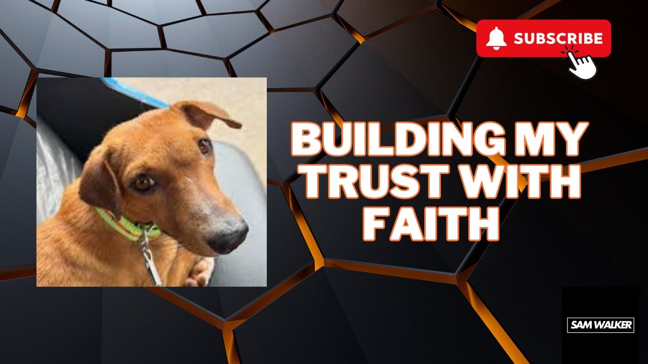 Building Trust with My Rescue Dog – Faith’s Journey to Strength and Confidence 