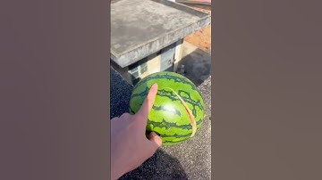 Experiment: Will the watermelon explode when it rolls down in a high-rise building?