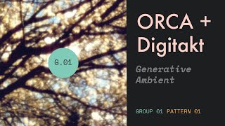 ORCA + Digitakt | Pattern 01