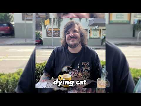 dying cat by (mullyvr) official song