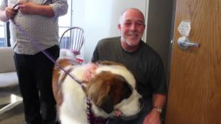 Walter The St  Bernard Visits Cat Country 102 9