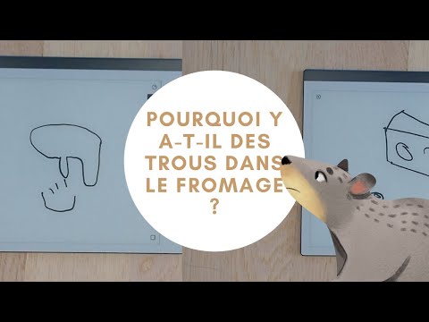 Vidéo: Pourquoi Y A-t-il Des Trous Dans Le Fromage