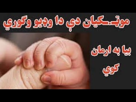 د موټک وهلو نقصانونه او علاج يي ويډيو تر اخيره پوري وګورئ پشتو