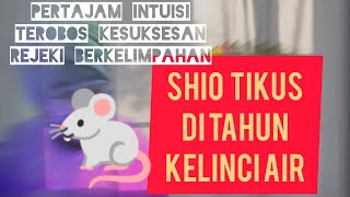 Shio Tikus di Tahun Kelinci Air 2023