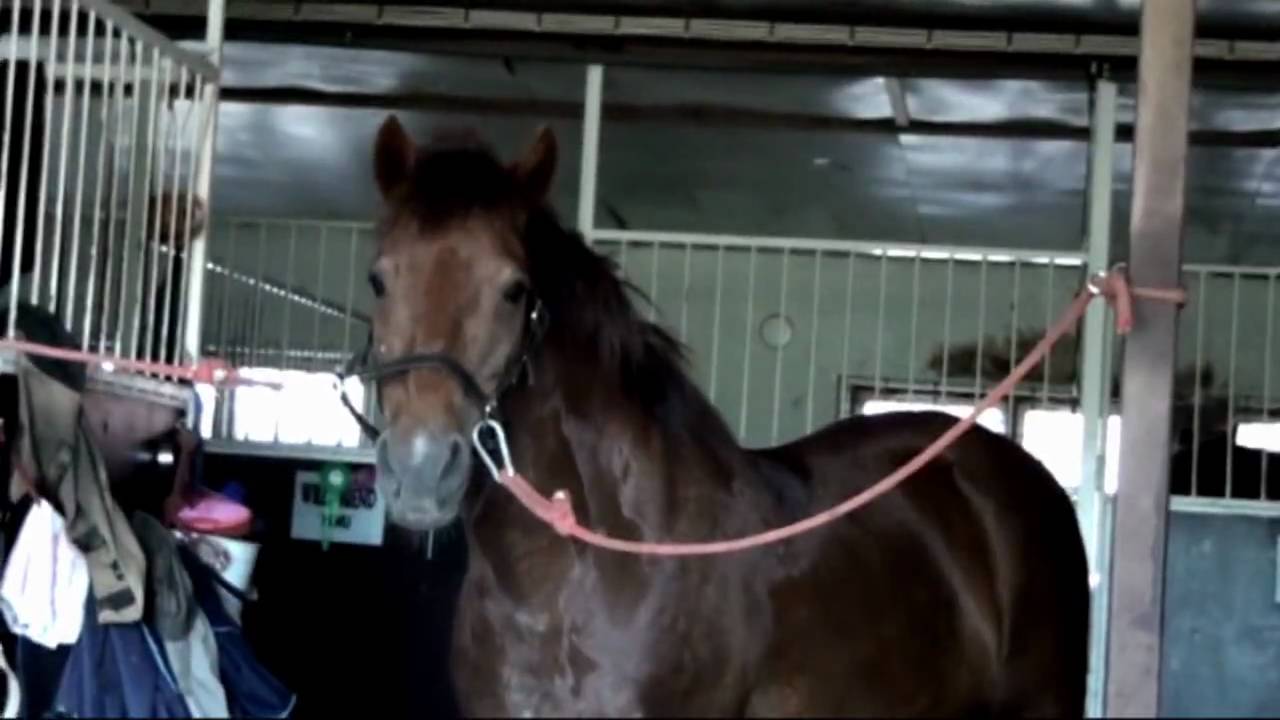 sputnik - apologize [+120]