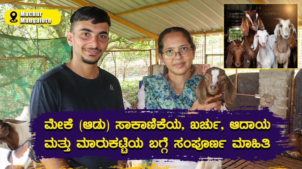 ಮೇಕೆ ಸಾಕಾಣಿಕೆ ಯಲ್ಲಿ ಕಡಿಮೆ ಬಂಡವಾಳ ಹಾಕಿ ಅಧಿಕ ಲಾಭ ಗಳಿಸುವುದು ಹೇಗೆ ? | Goat Farming Guide for Beginners