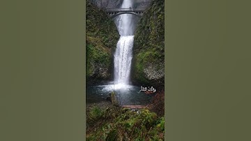 سورة النمل بصوت هادئ #ارح_سمعك #قران_كريم #ايات_قرانيه_قصيره #اكسبلور #explore #سكينه #قرأن #quran