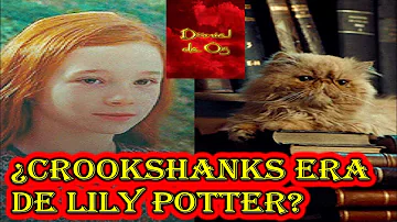 ¿En qué gato se convirtió Hermione?