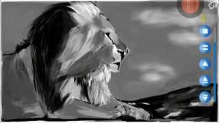 lion noir et blanc