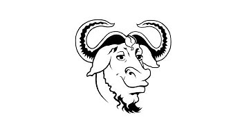 Everybody Wants to Replace This Library