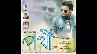 Kalpana (Pokhi 2019) || Pallab Anurag || Latest Assamese mp3 song 2019