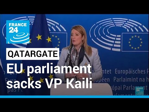 EU parliament sacks vice president charged in Qatar bribe probe • FRANCE 24 English