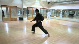 Shorin ryu fukyugata ichi and ni kata