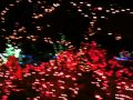 Ethel M cactus garden and fireworks tree
