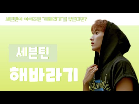세븐틴이 아이즈원 "해바라기"를 부른다면